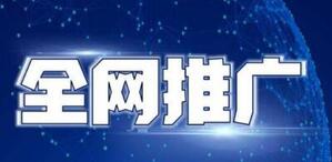 企業(yè)全網(wǎng)營銷推廣
