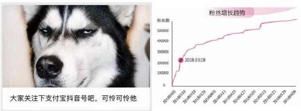 一條抖音為品牌帶來(lái)2.7億次曝光？企業(yè)抖音藍(lán)V最全攻略！