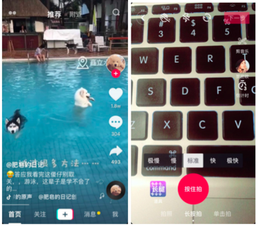 吐血整理：抖音運(yùn)營(yíng)全解剖