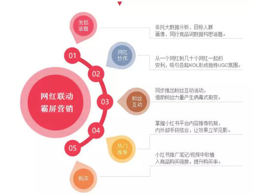 玩轉社交電商，小紅書種草六五攻略