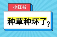 小紅書筆記代發(fā)怎樣收費(fèi)? 小紅書筆記代發(fā)價格!